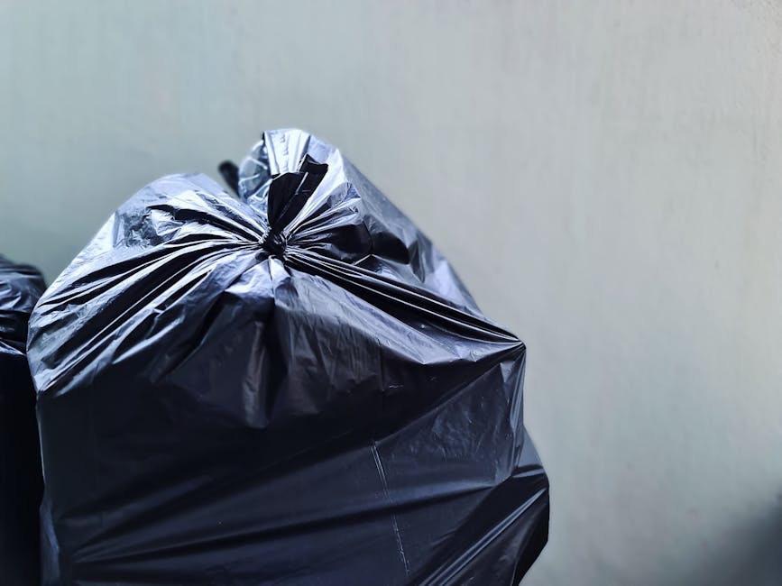 Cheap rubbish collection on Norwood High Street same day pickup
